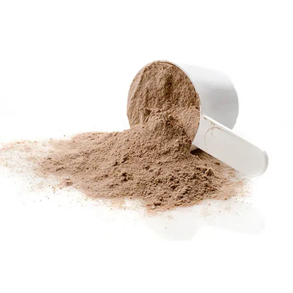 [POWSAL1KGP] Salted Caramel Powder (1 kg)
