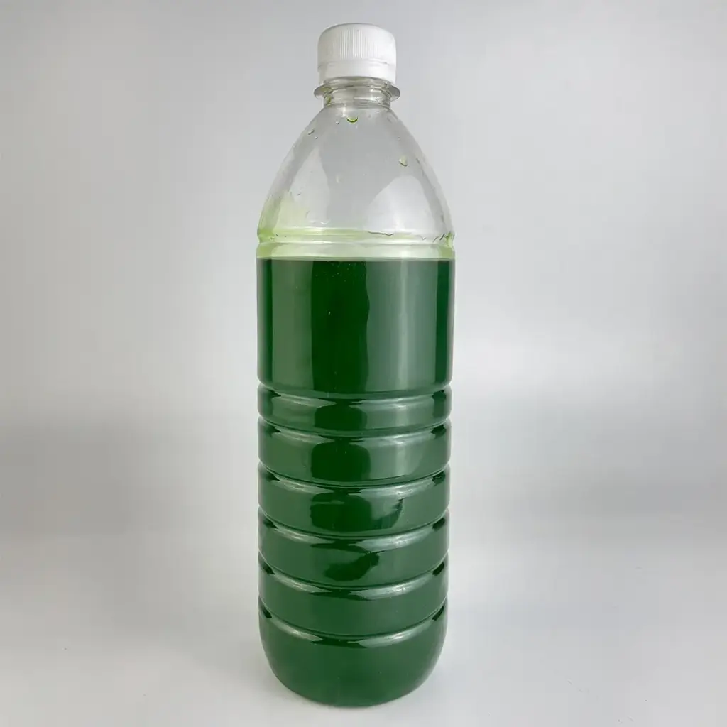 [FSYGRN1LM] Green Apple Syrup (1kg)